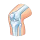Rodilla