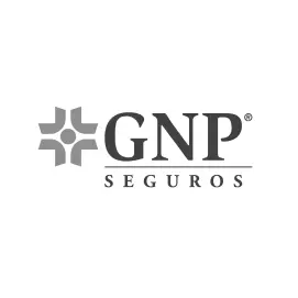 GNP