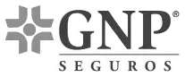 Seguro de gastos médicos GNP aceptado